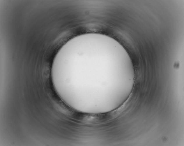 X0000102020174200808011432