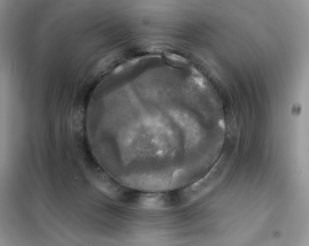 X0000102020175200808011432