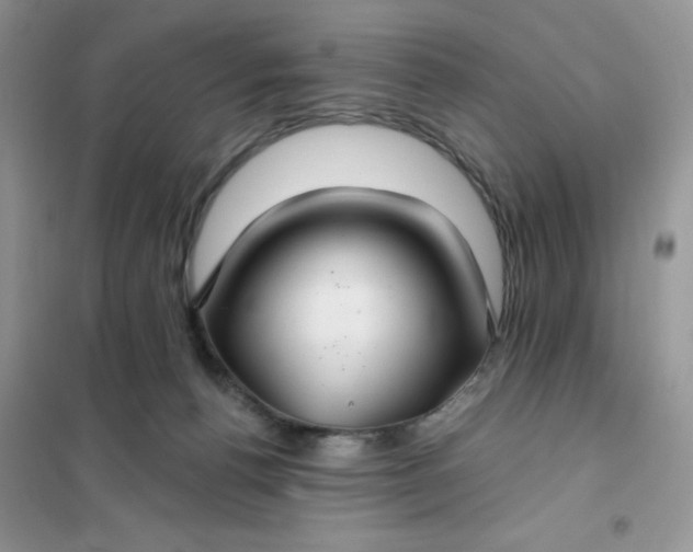 X0000102020176200808011432