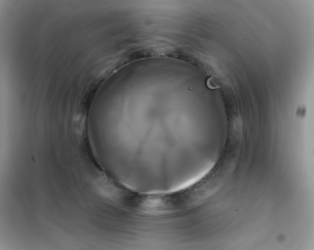X0000102020177200808011432