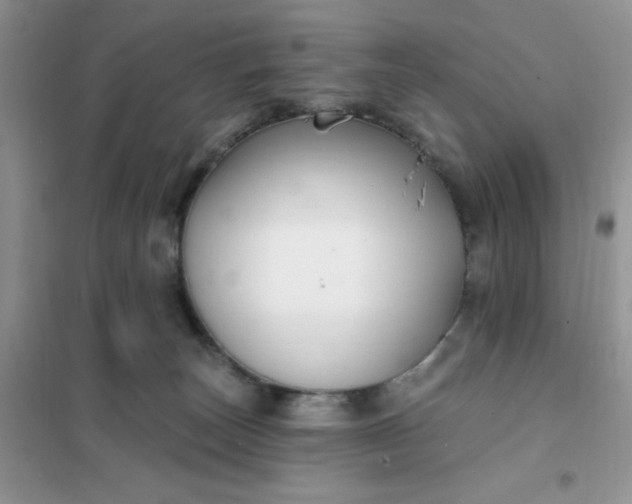 X0000102020179200808011432