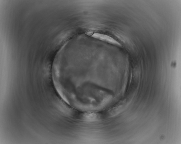 X0000102020181200808011432
