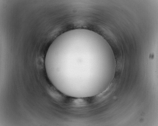 X0000102020183200808011432