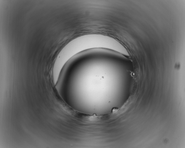 X0000102020184200808011432