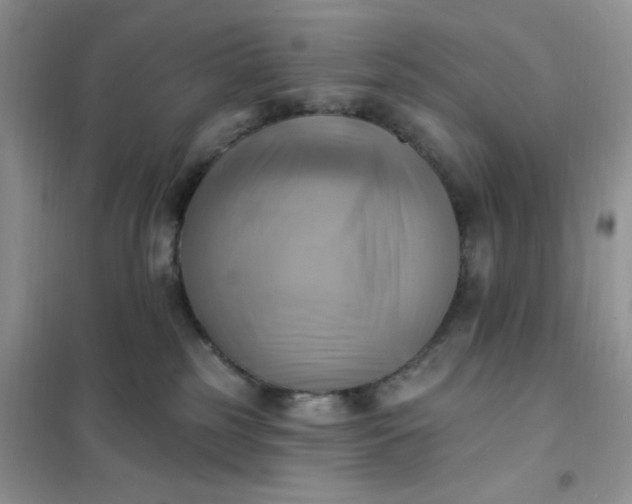X0000102020185200808011432