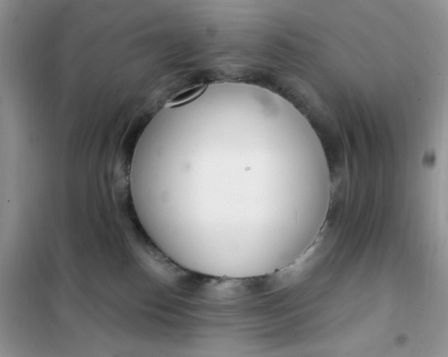 X0000102020186200808011432