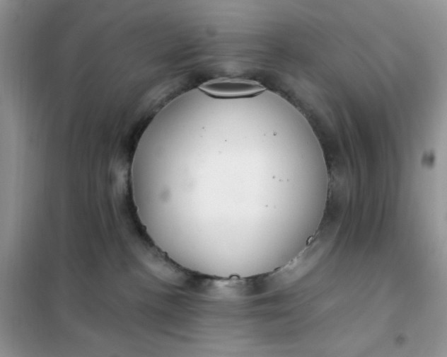 X0000102020188200808011432