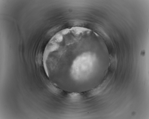 X0000102020189200808011432