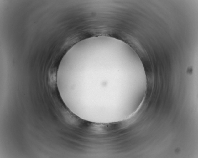 X0000102020190200808011432
