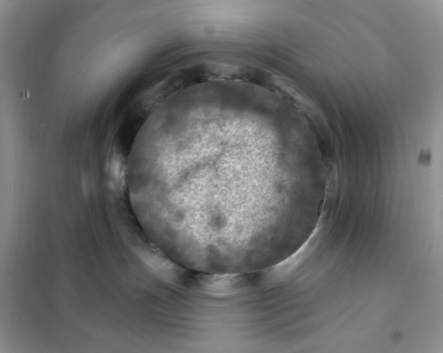 X0000102020191200808011432