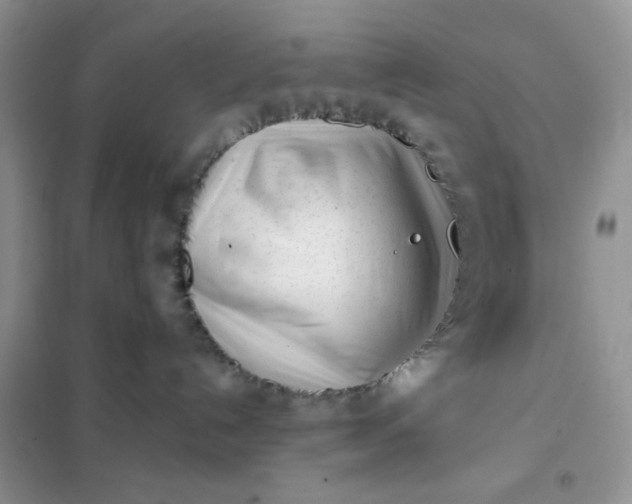 X0000102020192200808011432