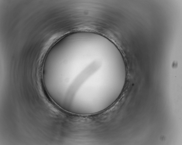 X0000102020193200808011432