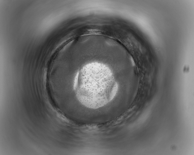 X0000102020194200808011432