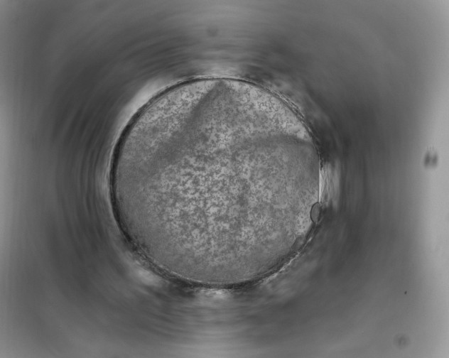 X0000102020195200808011432