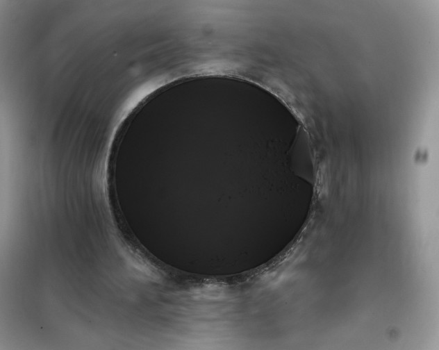 X0000102020196200808011432