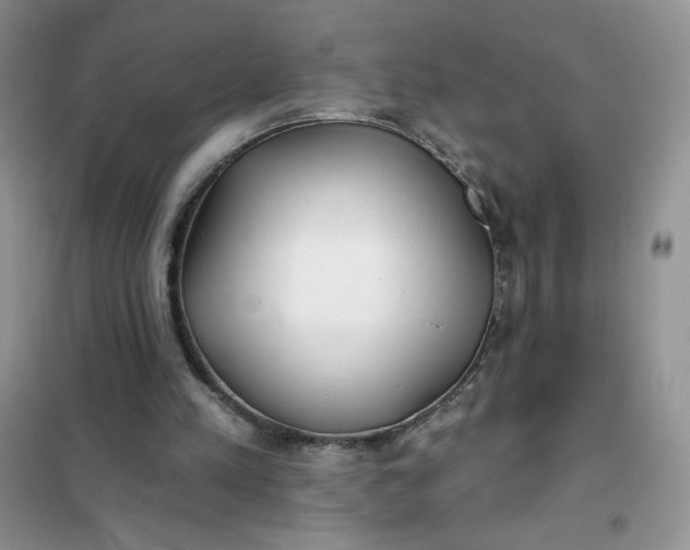 X0000102020197200808011432