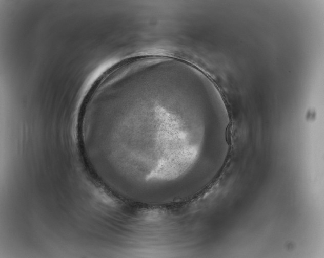 X0000102020200200808011432
