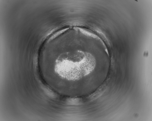 X0000102020202200808011432