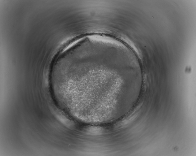 X0000102020203200808011432