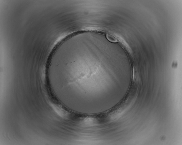 X0000102020204200808011432