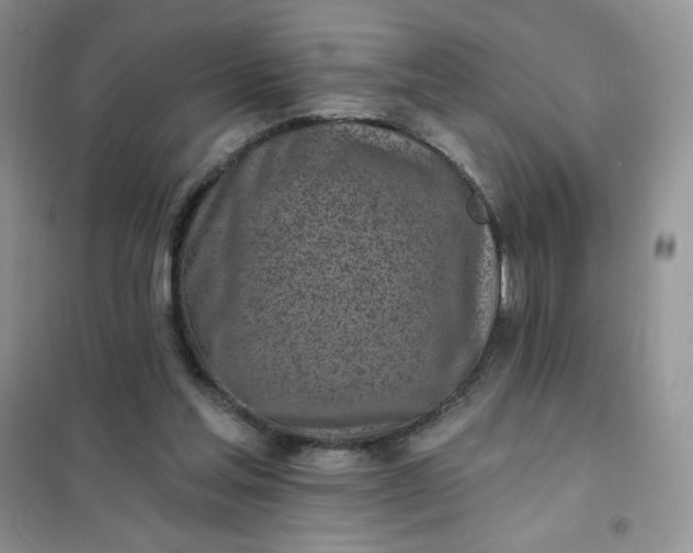 X0000102020205200808011432
