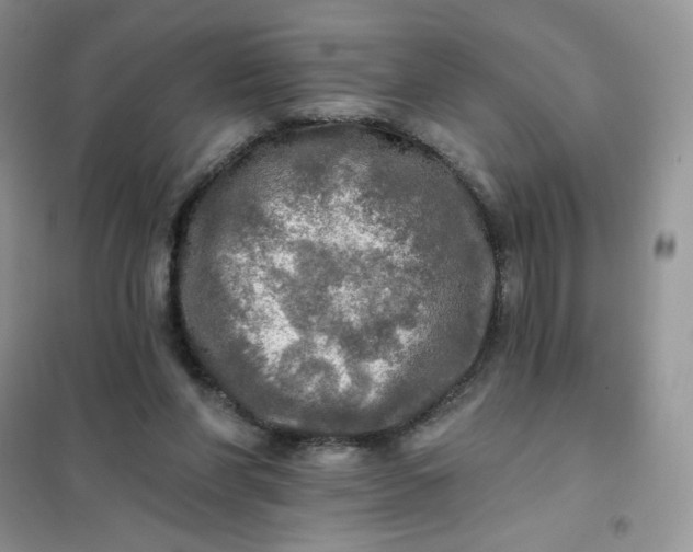 X0000102020206200808011432