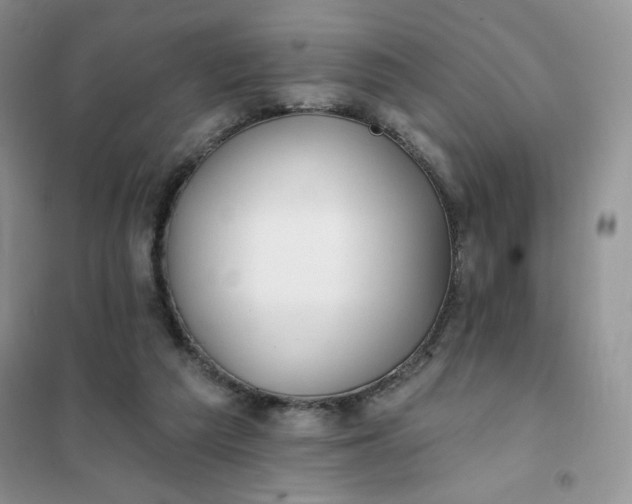 X0000102020209200808011432