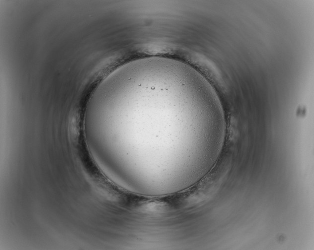 X0000102020210200808011432