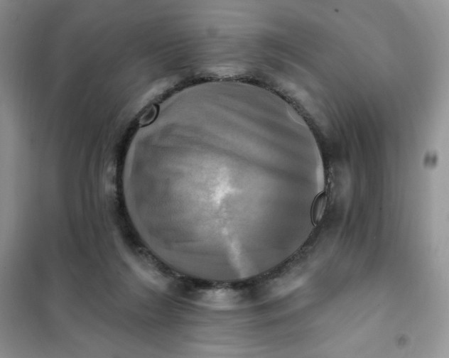 X0000102020212200808011432
