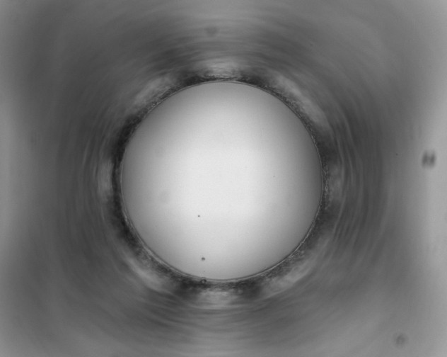 X0000102020213200808011432