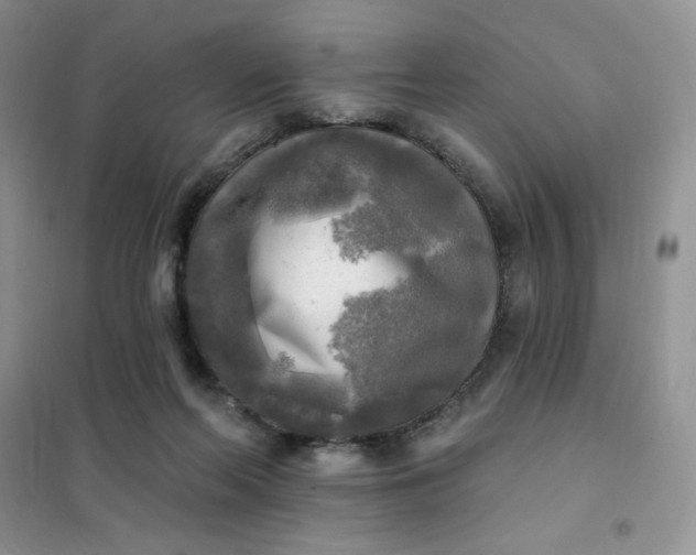 X0000102020214200808011432