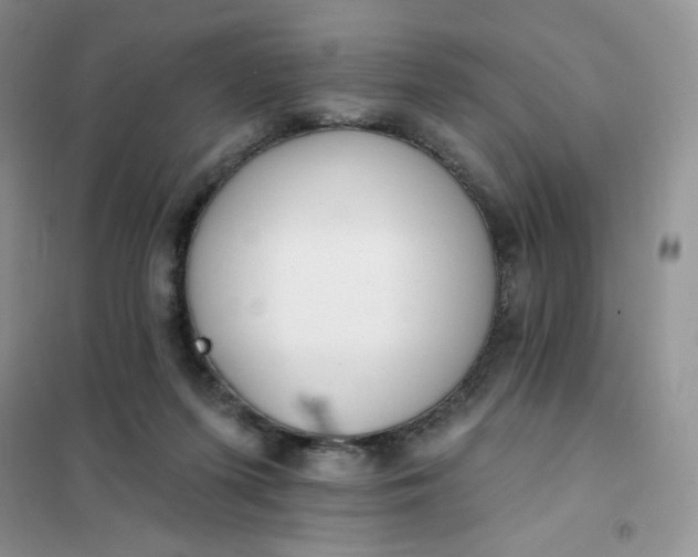 X0000102020215200808011431