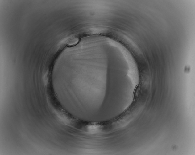 X0000102020216200808011431