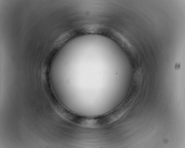 X0000102020217200808011431