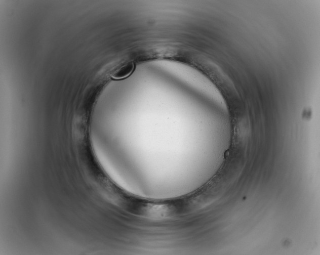 X0000102020218200808011431
