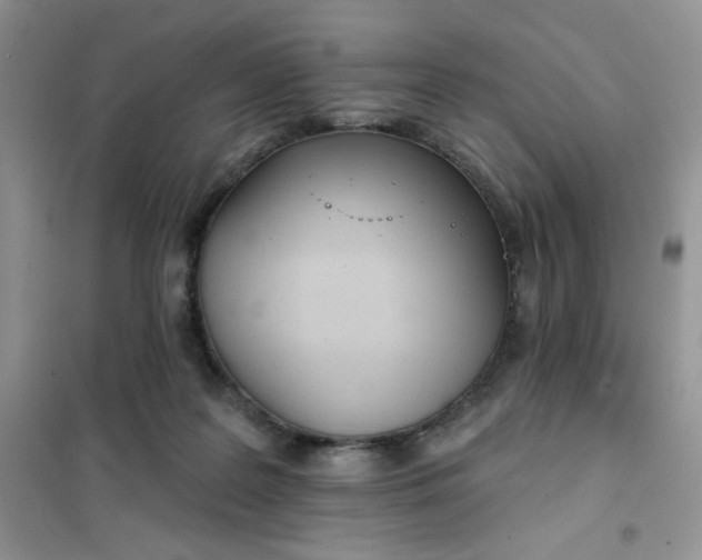 X0000102020219200808011431