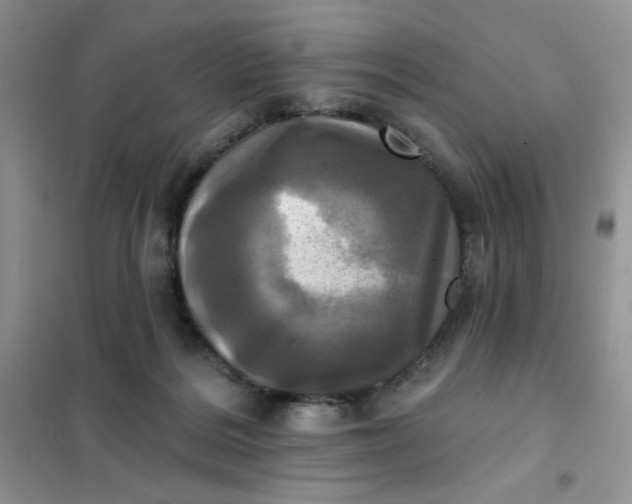 X0000102020220200808011431