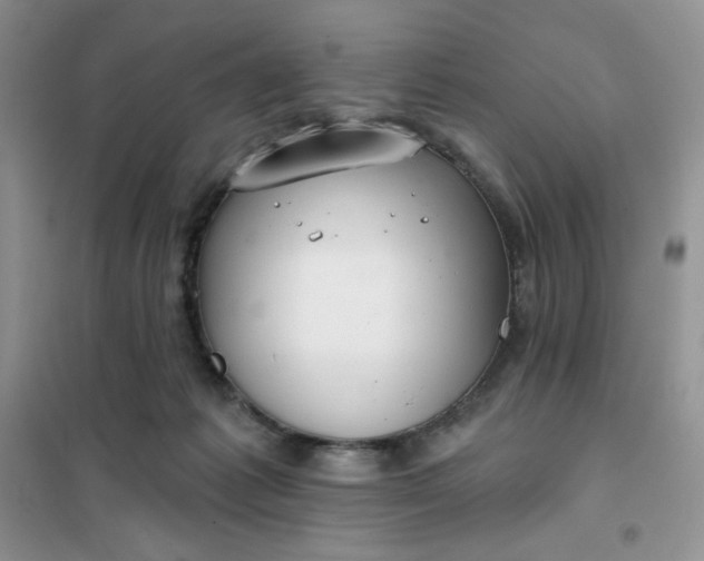 X0000102020221200808011431