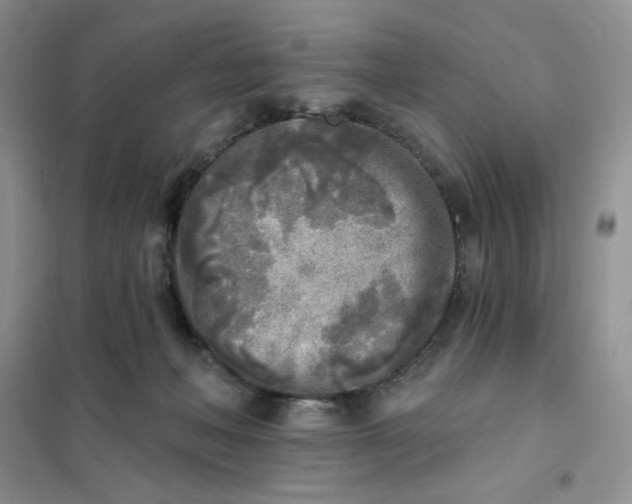 X0000102020222200808011431