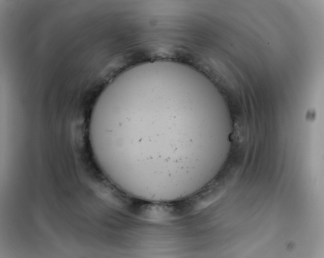 X0000102020223200808011431
