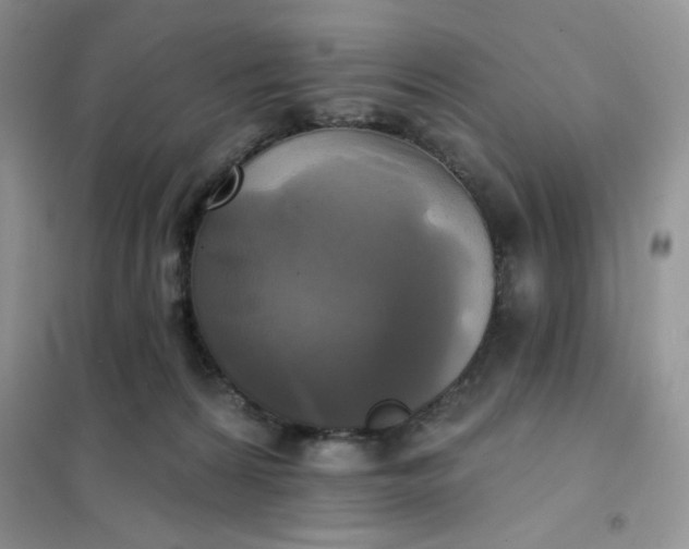 X0000102020224200808011431