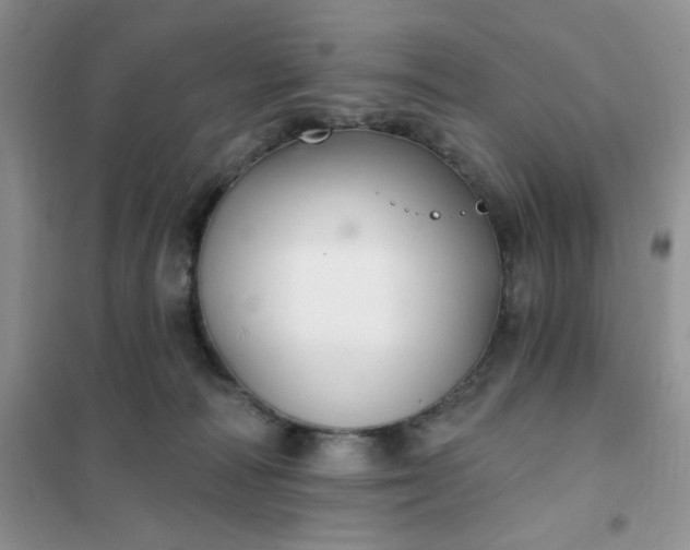 X0000102020226200808011431