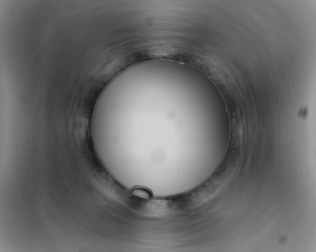 X0000102020227200808011431
