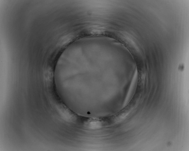 X0000102020228200808011431