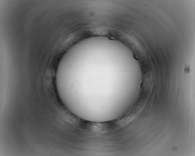 X0000102020229200808011431