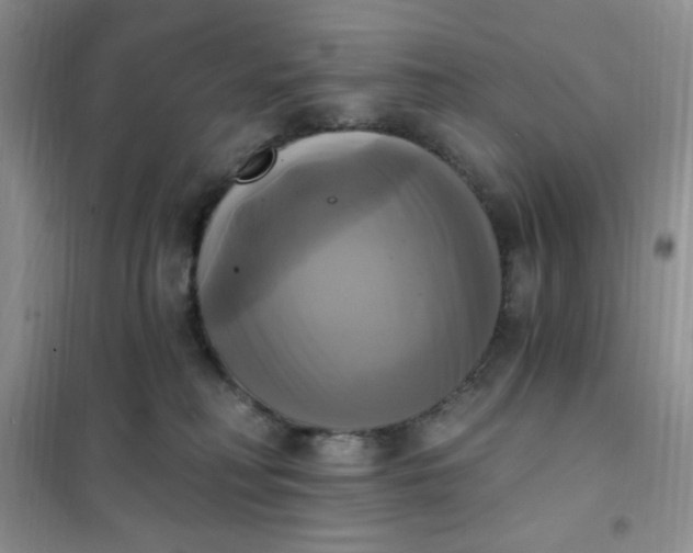 X0000102020230200808011431