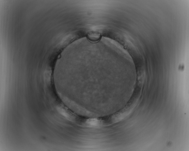 X0000102020231200808011431