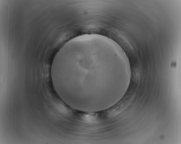 X0000102020232200808011431