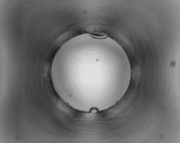 X0000102020233200808011431