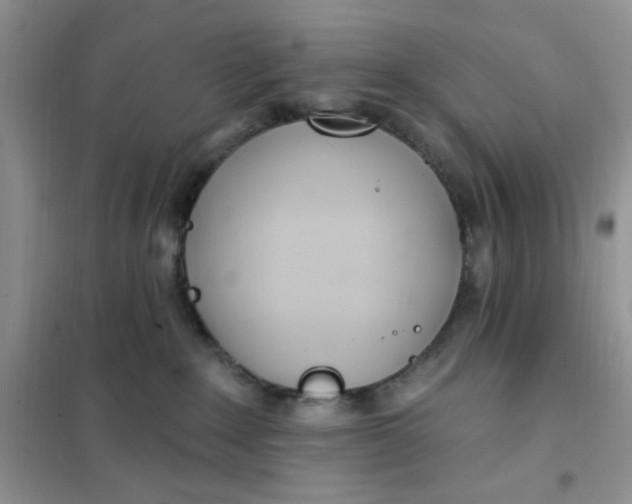 X0000102020235200808011431
